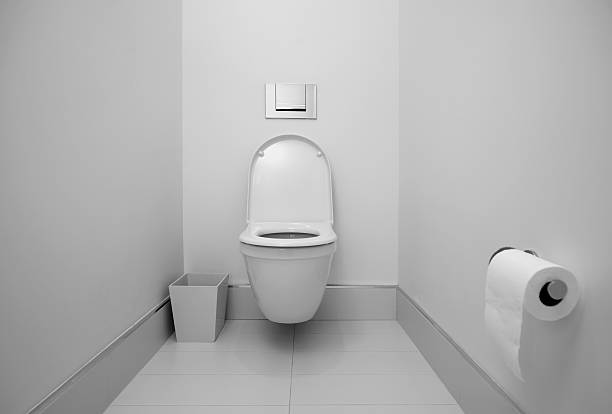 Remplacement de la canalisation d'évacuation de vos WC